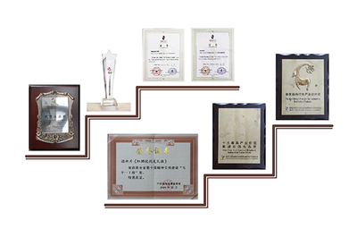 獲獎榮譽_湖南漫聯(lián)卡通文化傳媒